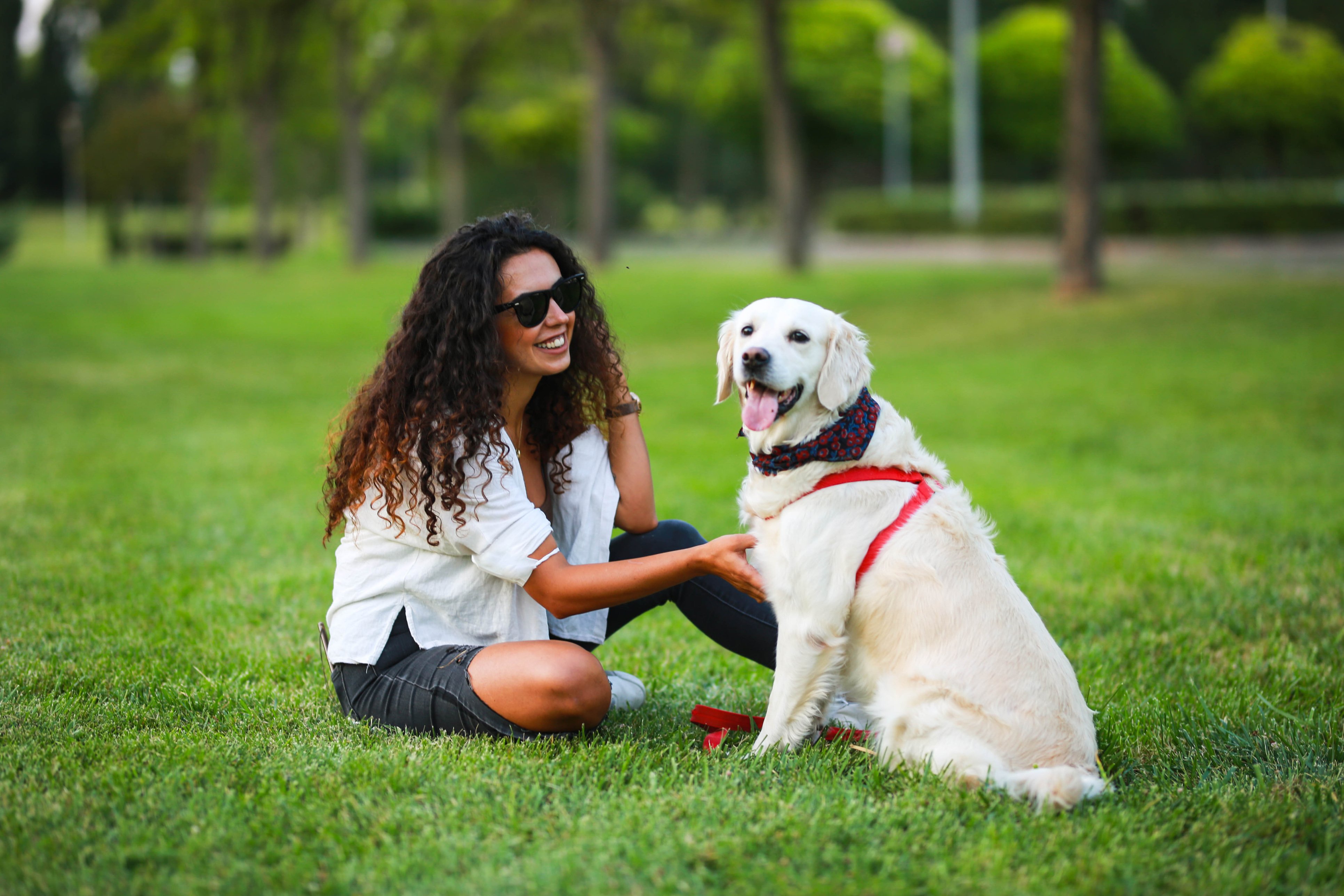 iStock-1417448074