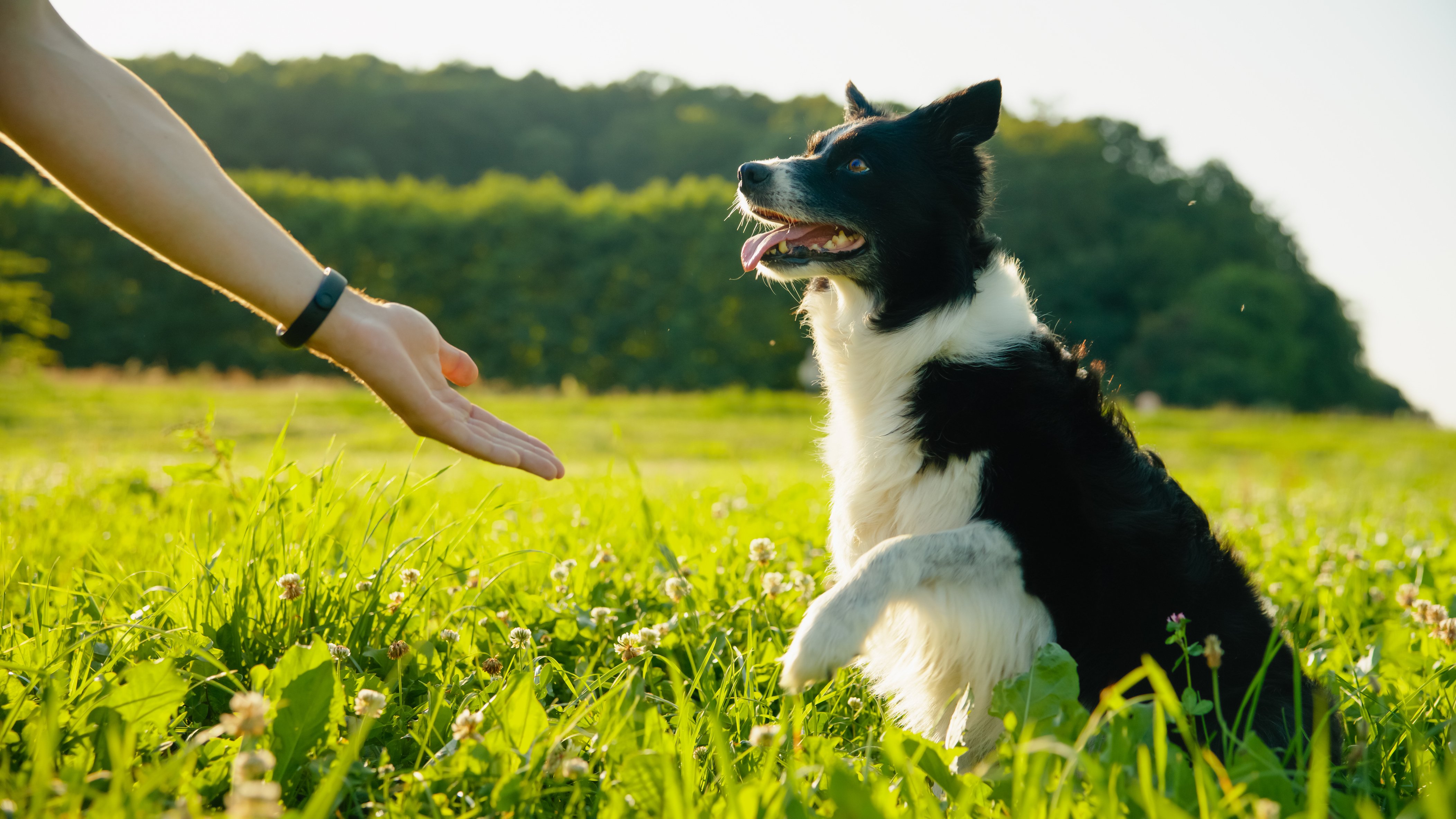 iStock-2171639574